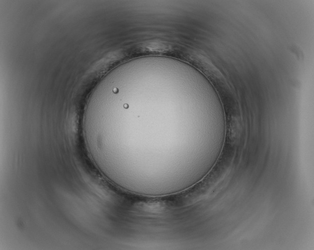 X0000113950639200910091610