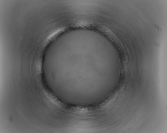 X0000113950640200910091610