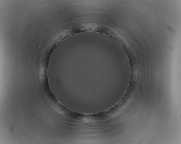 X0000113950641200910091610