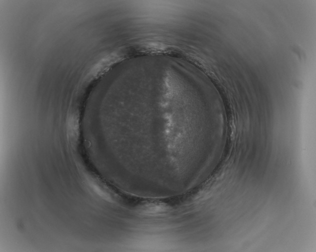 X0000113950642200910091610