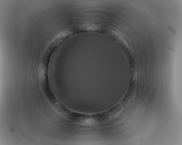 X0000113950643200910091610