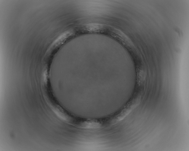 X0000113950644200910091610