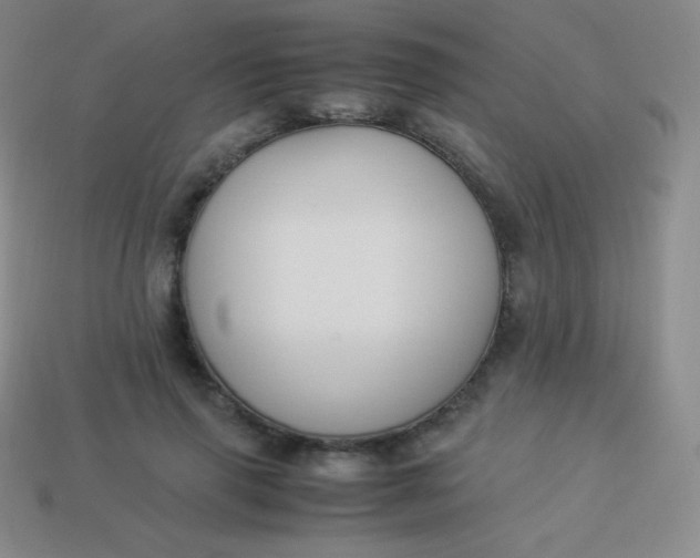 X0000113950645200910091610