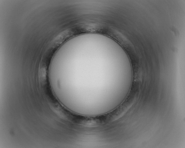 X0000113950646200910091610
