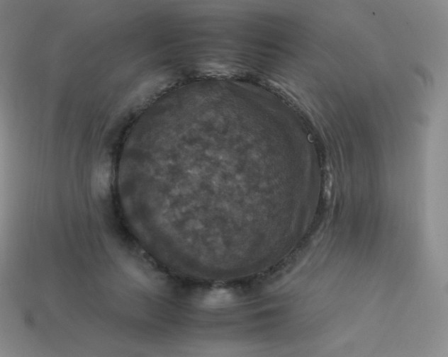 X0000113950647200910091610
