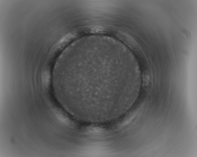 X0000113950648200910091610