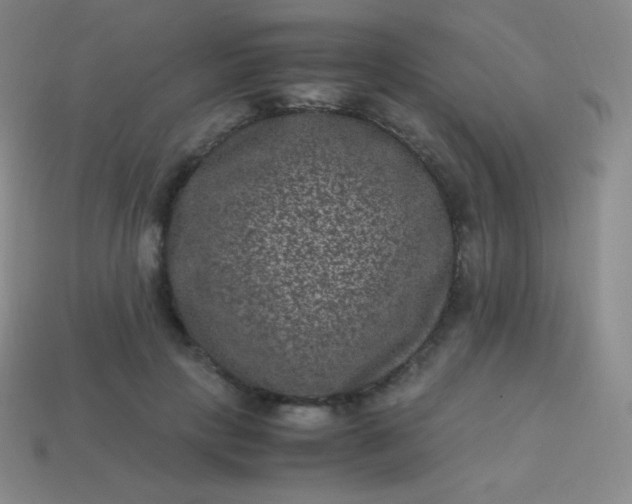 X0000113950649200910091610