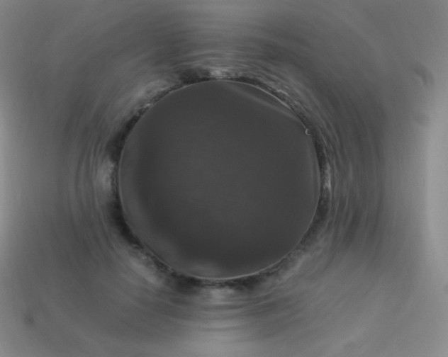 X0000113950650200910091610