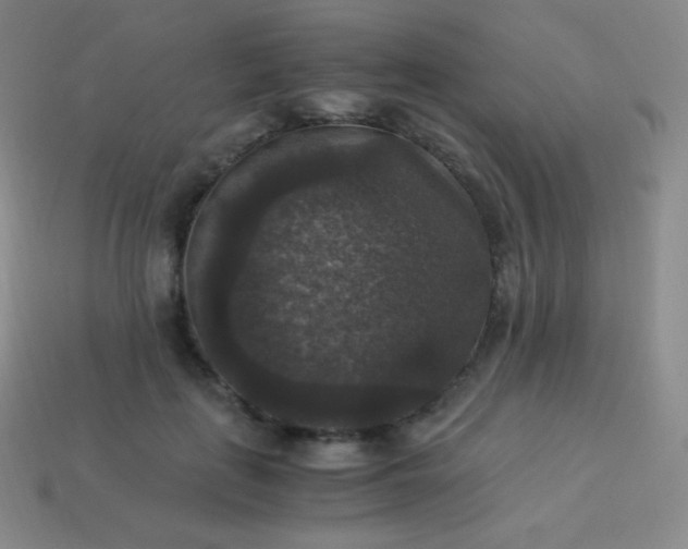 X0000113950651200910091610