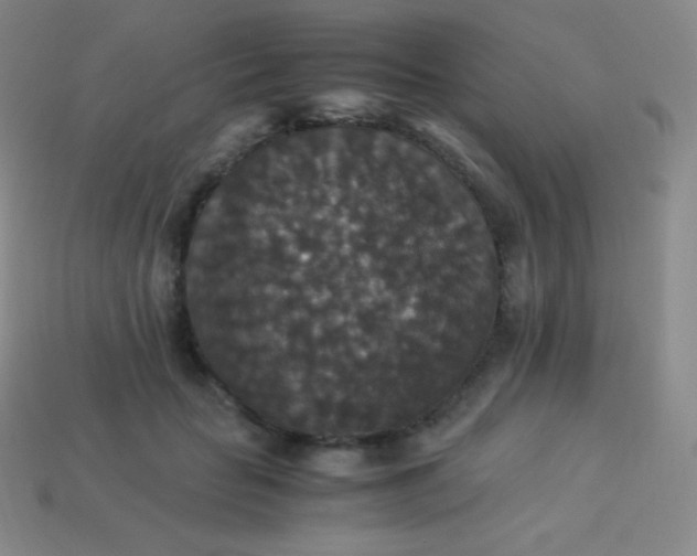 X0000113950653200910091610