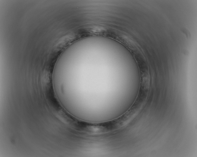 X0000113950654200910091610