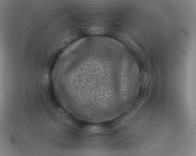 X0000113950655200910091610