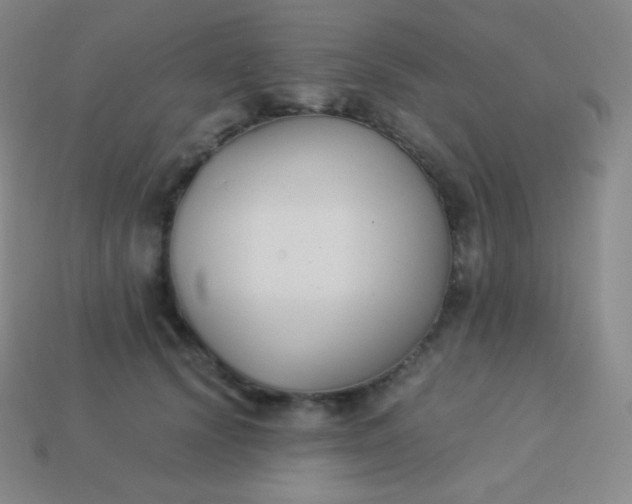 X0000113950656200910091610