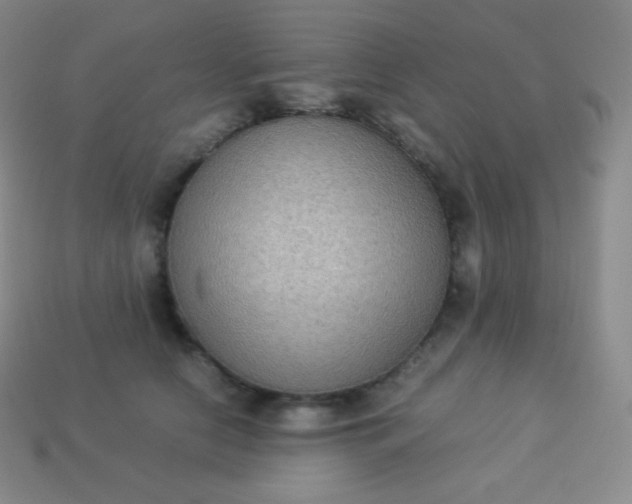 X0000113950658200910091610