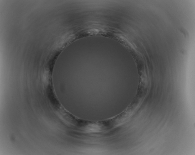 X0000113950659200910091610