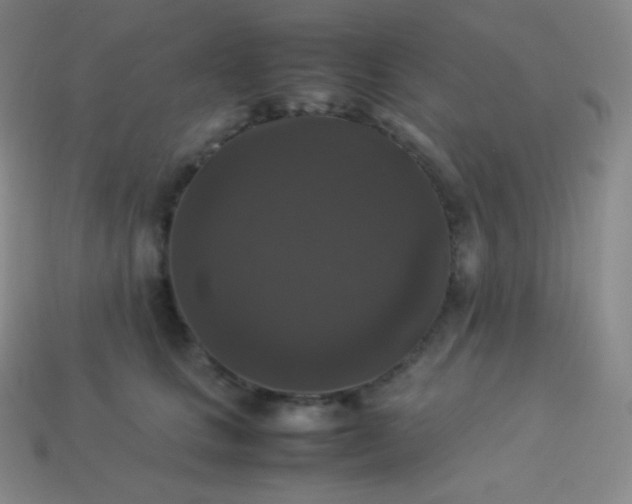 X0000113950661200910091610