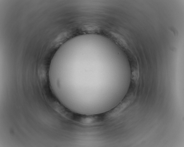 X0000113950662200910091610