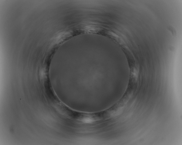 X0000113950663200910091610
