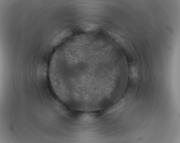 X0000113950664200910091610