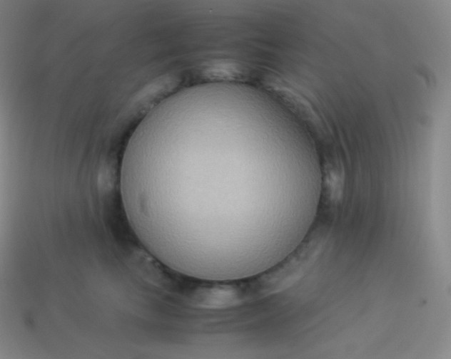 X0000113950665200910091610