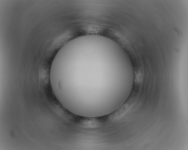 X0000113950666200910091610