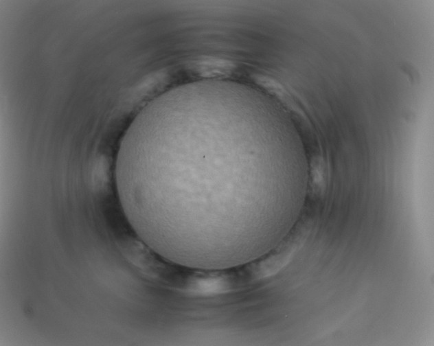 X0000113950667200910091610