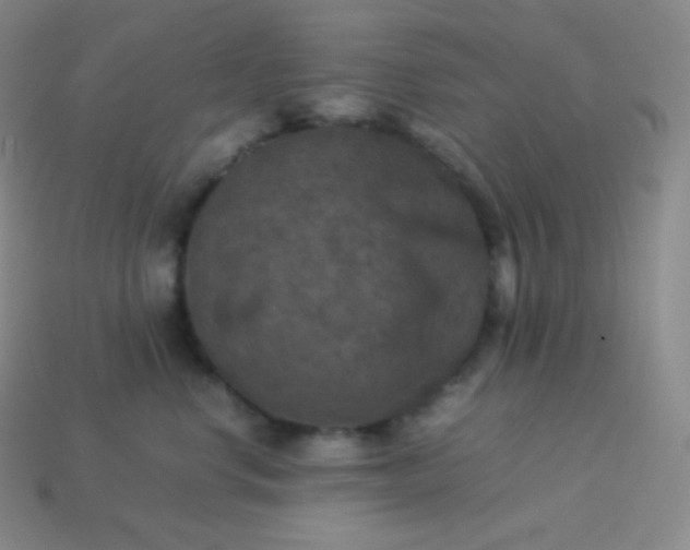 X0000113950668200910091610