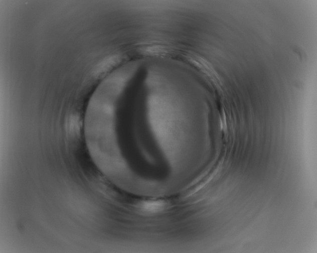 X0000113950669200910091610
