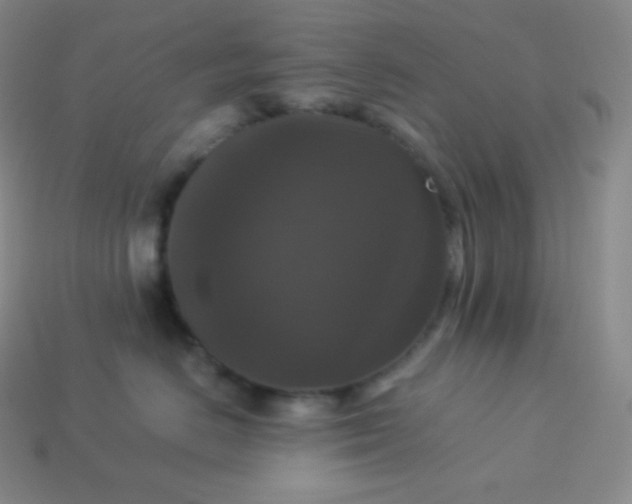 X0000113950670200910091610