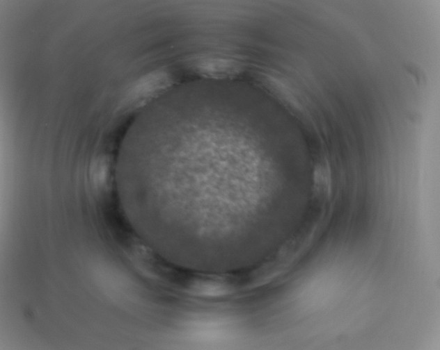 X0000113950671200910091610