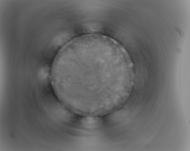 X0000113950672200910091610