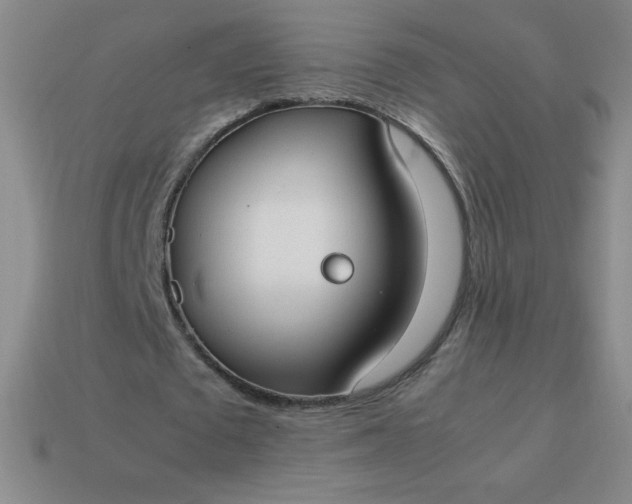 X0000113950673200910091609