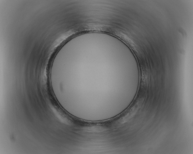 X0000113950674200910091609