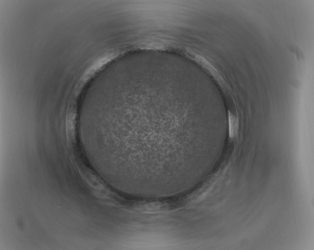 X0000113950675200910091609