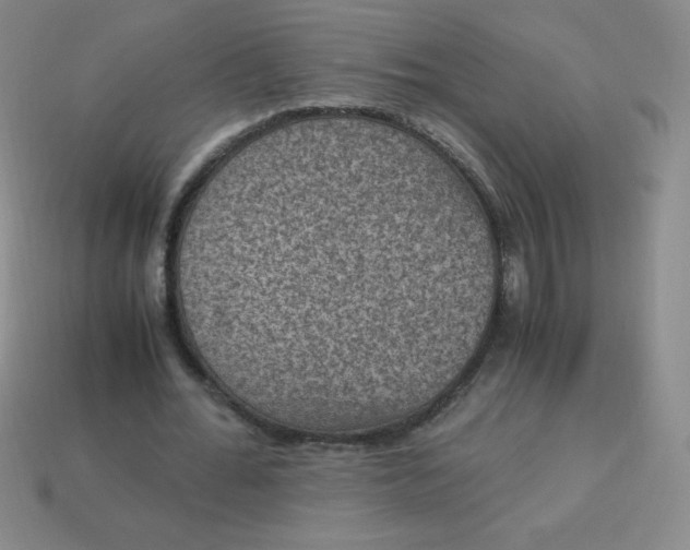 X0000113950676200910091609