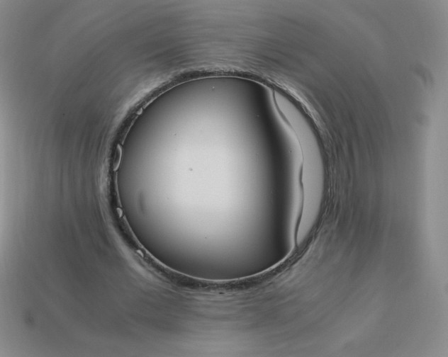 X0000113950677200910091609