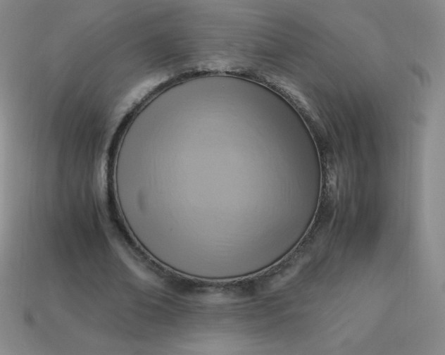 X0000113950678200910091609