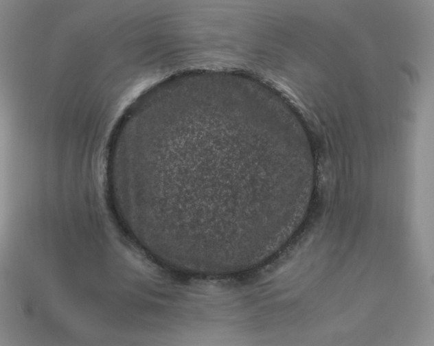 X0000113950679200910091609