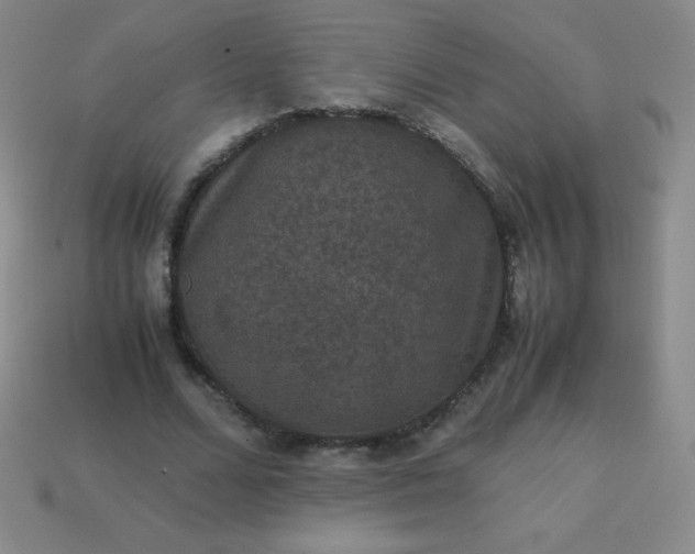 X0000113950680200910091609