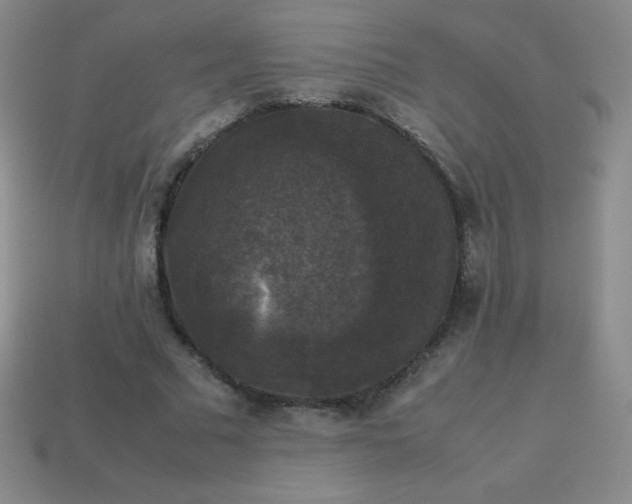 X0000113950681200910091609