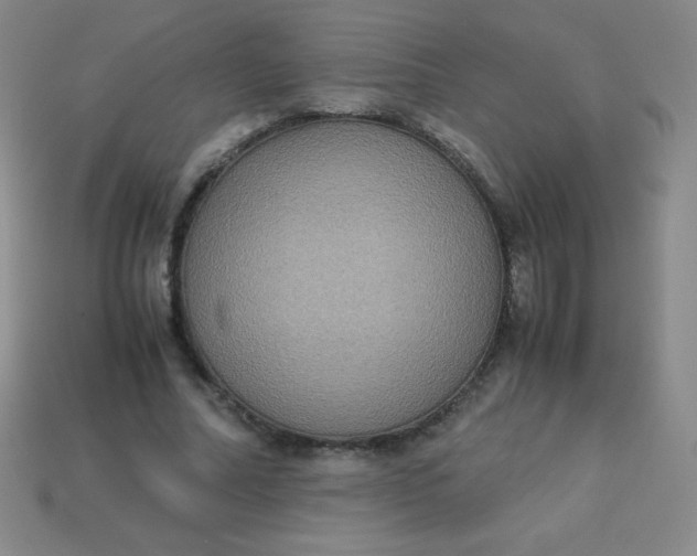 X0000113950682200910091609