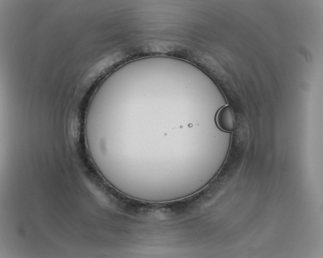 X0000113950683200910091609