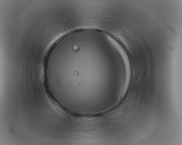 X0000113950684200910091609