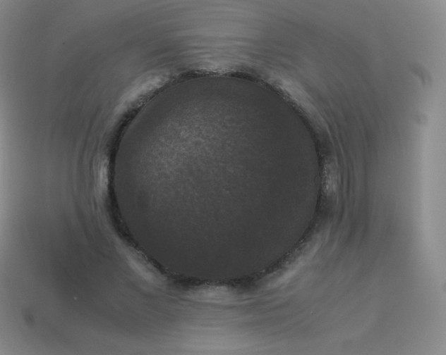 X0000113950685200910091609