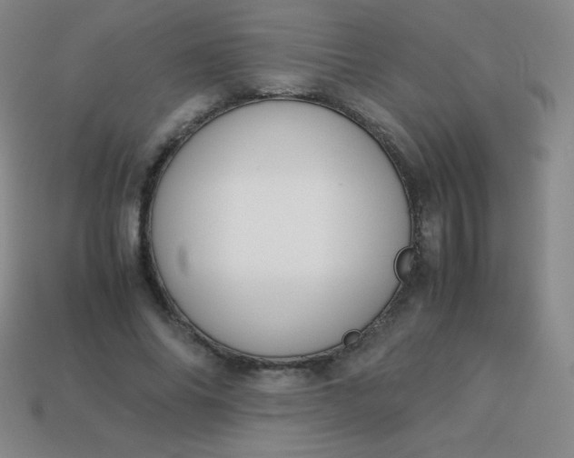X0000113950686200910091609