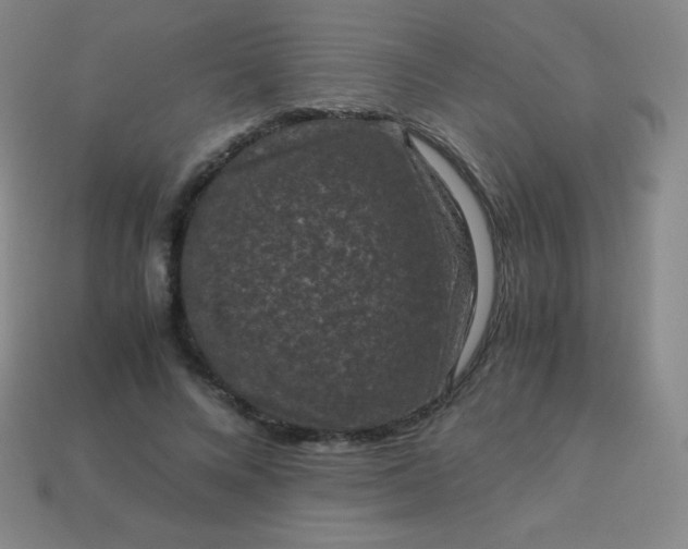 X0000113950688200910091609