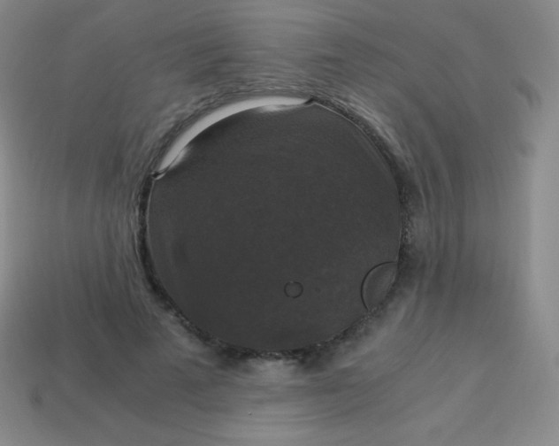 X0000113950689200910091609