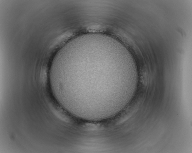 X0000113950690200910091609