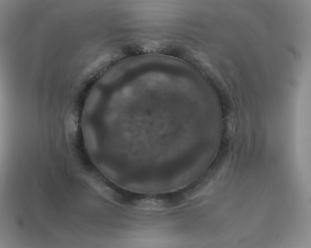 X0000113950691200910091609