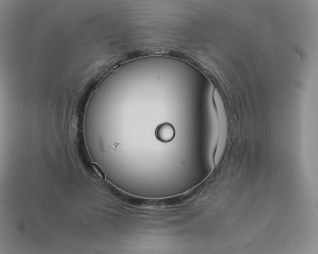 X0000113950693200910091609